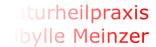 Naturheilpraxis  Sibylle Meinzer